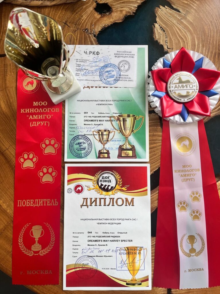 16.05.2026, 2* САС, Подольск