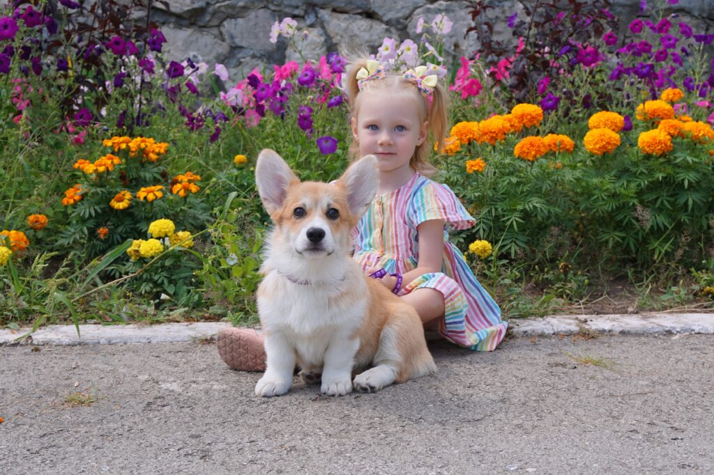 Oplus_16908288