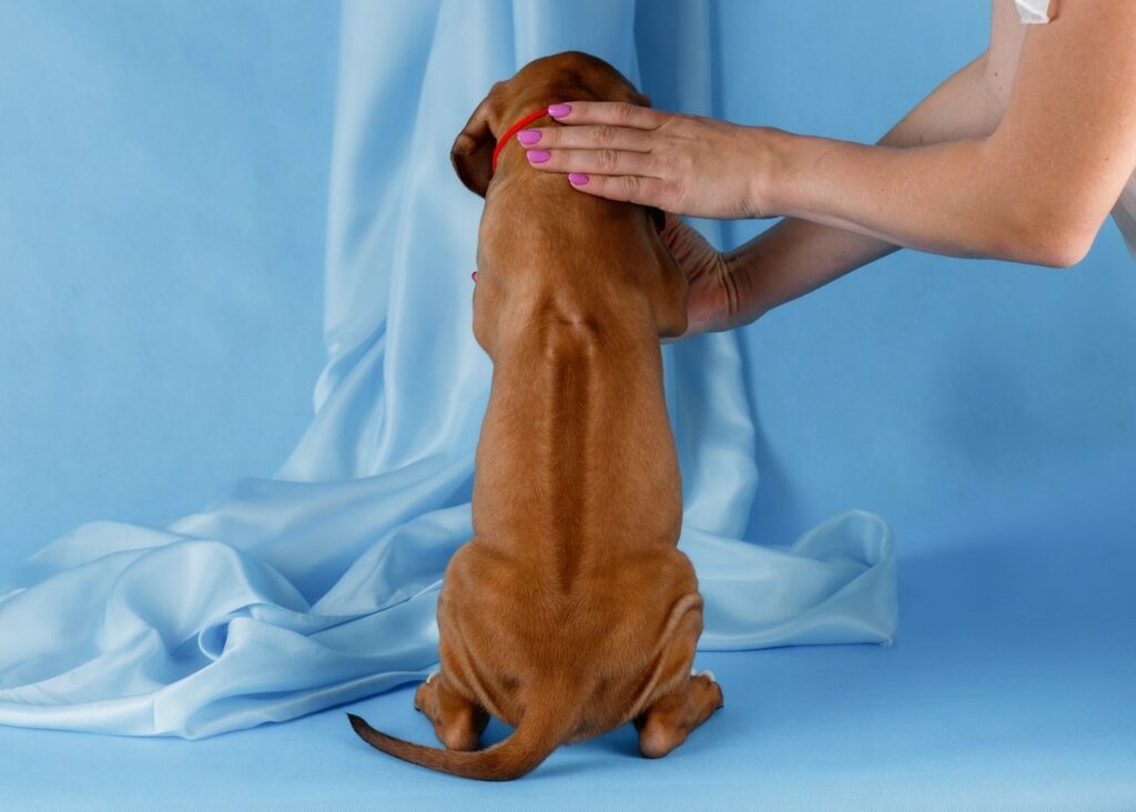 zUcsZXWWqU-7TVUlNpcWPFoOPOIGwFBiurls2pFEn4jdJ766KdCIxWZLmiVesqAl2289grATtZDvf7lif0gzuONN